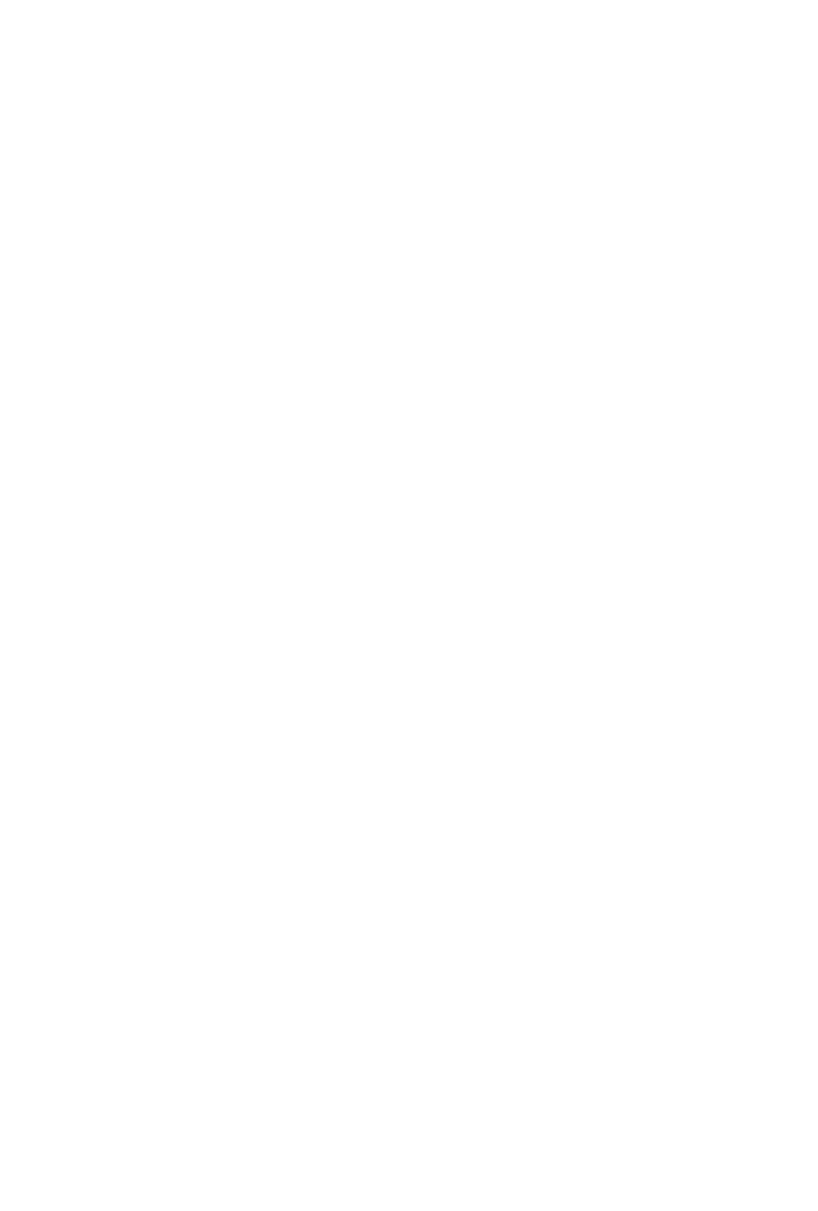 FEDERER: TWELVE FINAL DAYS